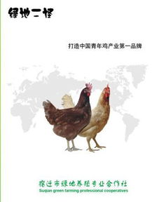 一呼百应公司频道